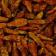 Bird's Eye Chiles - Whole