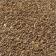 Celery Seed