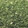 Chervil