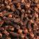 Cloves, Whole