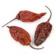Ghost Chiles - Whole