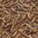 Caraway Seed